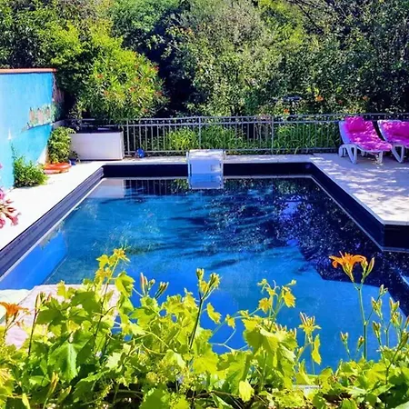 Independant, 1 Lit Deux Personnes Et 1 Appoint Piscine Jardin Direct Gare Aeroport Et Jardin * Тулуза