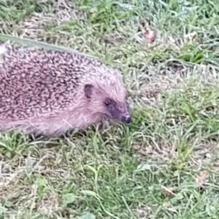 Indépendant, Deux Personnes, Clair Et Sympa Toulouse