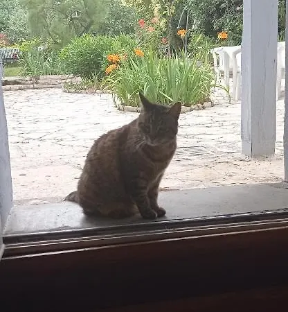 Indépendant, Deux Personnes, Clair Et Sympa Appartement